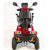Custom Four Wheels Brushless Motor Sightseeing Mobility Scooter 
