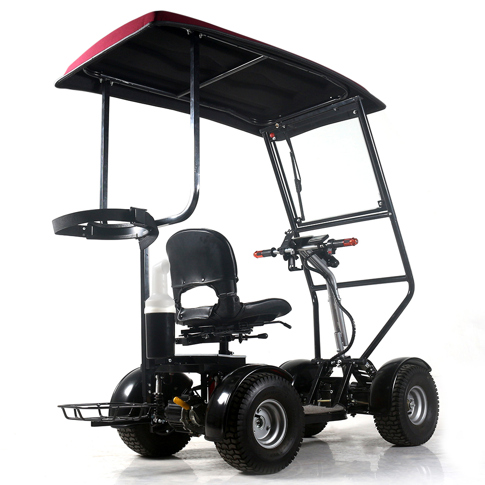customized four wheel golf mobility scooter with sunny roof
