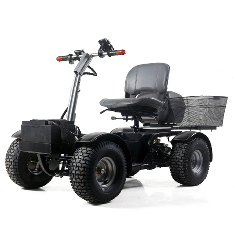 WISKING brushless motor park use mobility scooter for golf